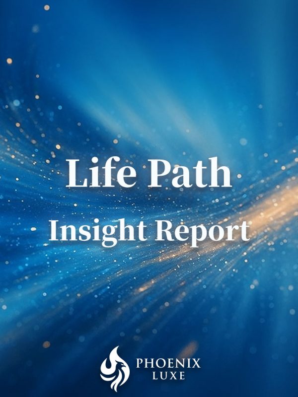 Life Path Insight Report